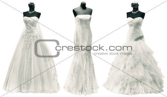 Wedding Dresses Cutout