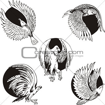 round designs with eagles and falcons