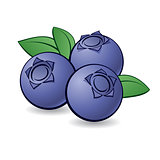 Cartoon blueberry.