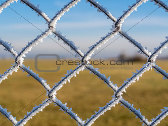 fence with frost