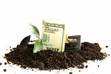 American dollars grow from the ground - the business concept