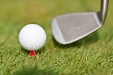 golf ball and iron on green grass detail macro summer outdoor
