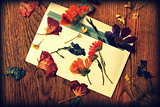 Vintage photo of letter and dry flowers
