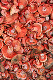 mushrooms at bazaar