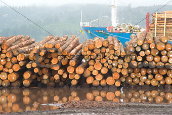 Logging Shipyard
