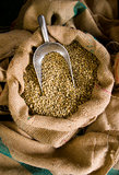Raw Coffee Beans Seeds in Bulk Burlap Sack Production Warehouse