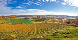 Bilogora vineyard landscape in Croatia