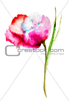 Stylized Poppy flower illustration 