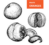 Oranges - set of vector illustration