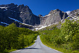 Road to Nusfjord