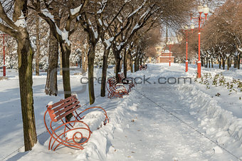 Benches in winter park