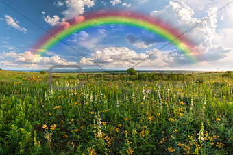 Rainbow over meadow