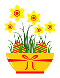 daffodils in pot