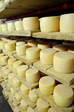 cheese production