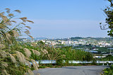 Okinawan landscape