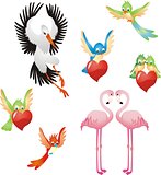 Love me - Birds collection