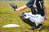 baseball catcher ready to catch ball at  home plate