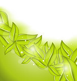 Ecology background with eco green leaves