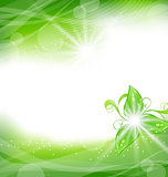 Eco friendly background with green leaves