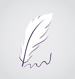 White feather calligraphic pen isolated