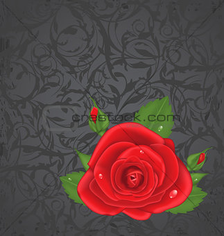 Close-up red rose isolated on grunge floral background