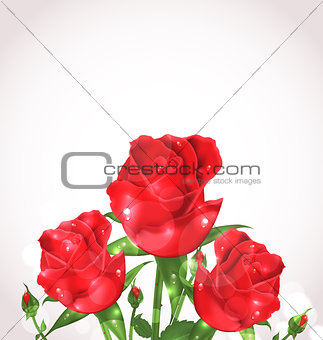 Three roses for design wedding card