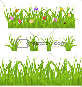 Set green grass isolated on white background