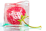 ice cube with strawberry on glass
