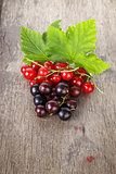 organic garden berries on old wood table