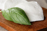 mozzarella cheese sliced with basil leaf
