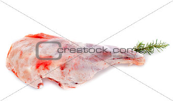leg of lamb
