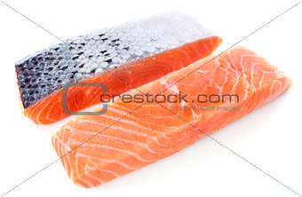 salmon fillets