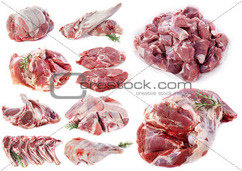 lamb meat