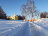 two birches in behind the Kremlin walls ryazan
