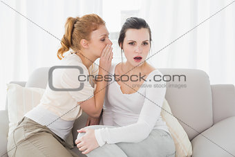 Female friends gossiping in the living room