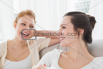 Two cheerful female friends sitting on sofa in living room