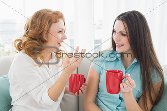 Friends with coffee cups conversing at home