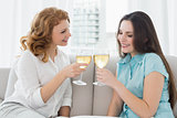 Female friends toasting wine glasses at home
