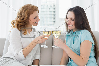 Female friends toasting wine glasses at home