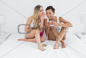 Female friends with coffee cup gossiping in bed