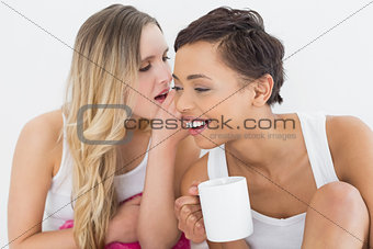 Close-up of female friends with coffee cup gossiping
