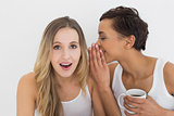Young female friends with coffee cup gossiping