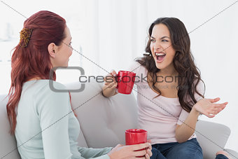 Female friends enjoying a chat over coffee at home
