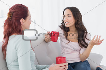 Young female friends enjoying a chat over coffee at home