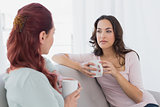 Young female friends chatting over coffee at home