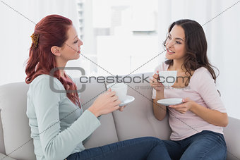 Young female friends chatting over coffee at home