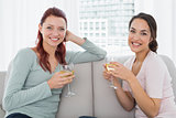 Young female friends with wine glasses at home