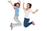 Portrait of two cheerful young female friends jumping