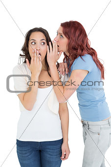 Two young female friends gossiping