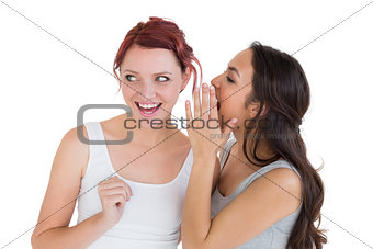 Close-up of two young female friends gossiping